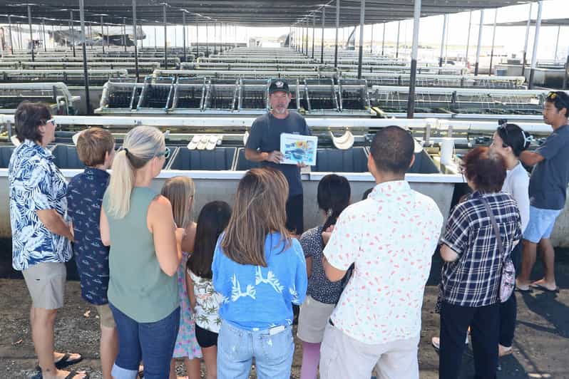 Big Island: Abalone Farm Guided Tour with Tasting - Who will enjoy this tour most