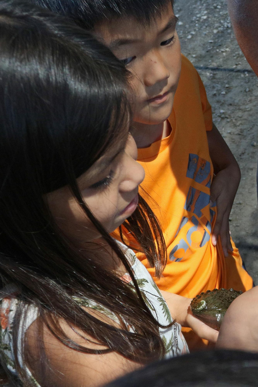 Big Island: Abalone Farm Guided Tour with Tasting - Practical details that can shape your visit