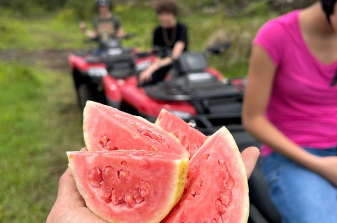 Big Island ATV Tour at Ohana Ranch - Who will enjoy Ohana Ranch most?