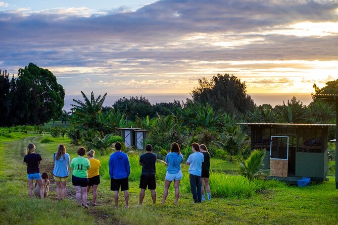 Big Island Farms Tour in Hawaii - A one-hour farm walk with something to taste