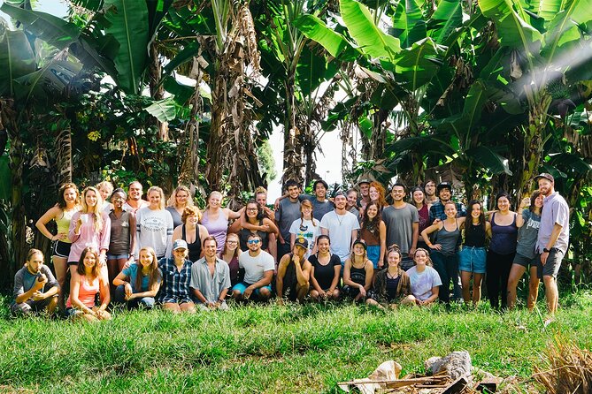 Big Island Farms Tour in Hawaii - How the 4.9 rating fits the experience
