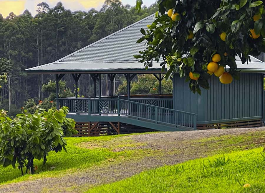 Big Island Hawaii: Craft Chocolate Tasting and Farm Tour - Timing, age limits, and practical planning