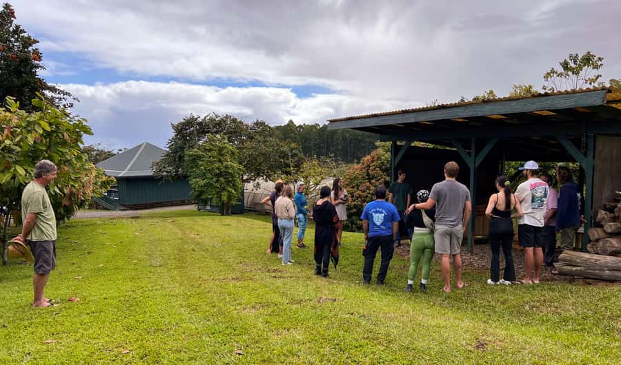 Big Island Hawaii: Craft Chocolate Tasting and Farm Tour - Why the fermentation room matters