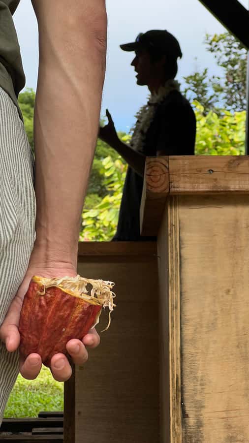 Big Island Hawaii: Craft Chocolate Tasting and Farm Tour - Is $130 a fair price?