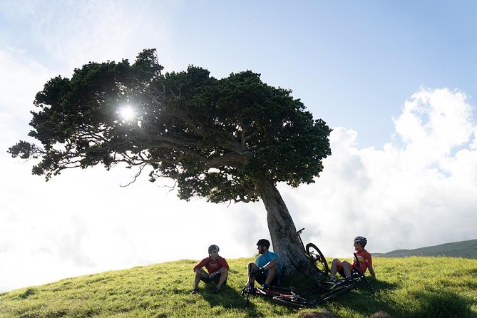 Big Island Mountain Biking on Anna Ranch - Timing, booking, and cancellation