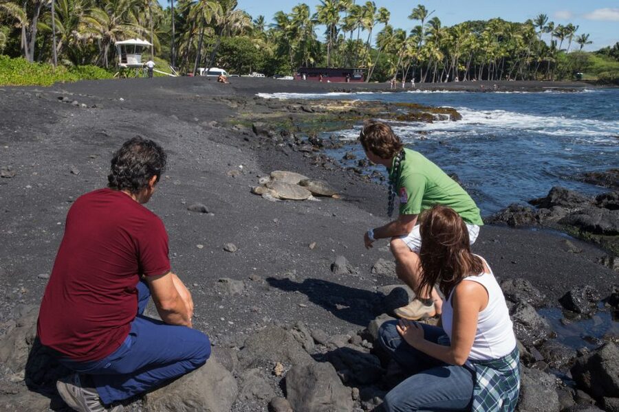 Big Island: Volcanoes, Waterfalls, & Coffee Farm Day-Trip - Punaluʻu Bake Shop and the southern coast