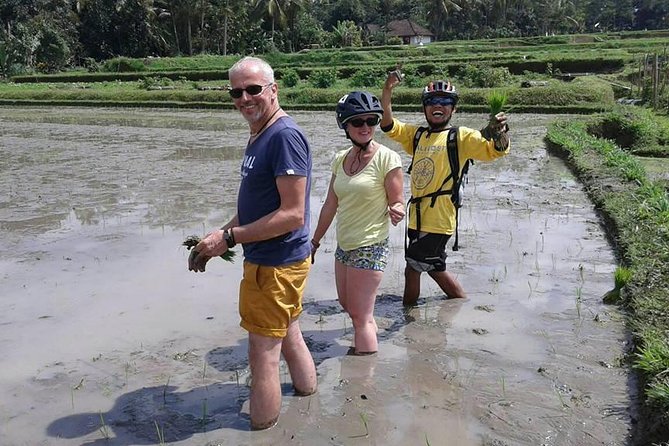 Bike ride in the rice fields, Bali countryside - What the $78 price includes