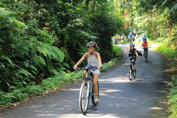 Bike ride in the rice fields, Bali countryside - Seeing rice farming at close range