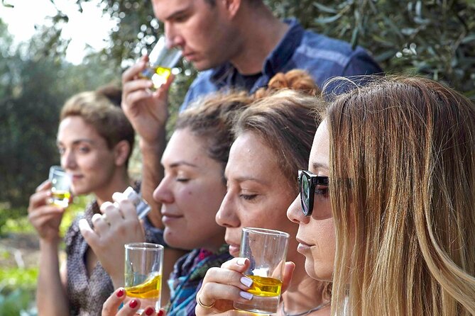 Bio Farm Private Olive Oil Tasting, Farm to Fork Meal & Temple of Poseidon Tour - Key points at a glance
