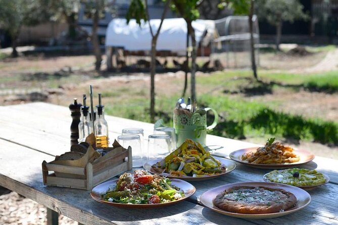 Bio Farm Private Olive Oil Tasting, Farm to Fork Meal & Temple of Poseidon Tour - Who will enjoy this most?