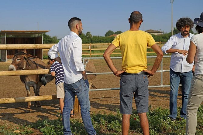 Biodynamic Farm and Natural Wines Tasting in Lazise - A Working Farm Outside Lazise