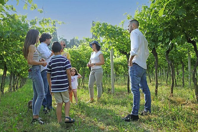Biodynamic Farm and Natural Wines Tasting in Lazise - Is $50.47 a Fair Price?