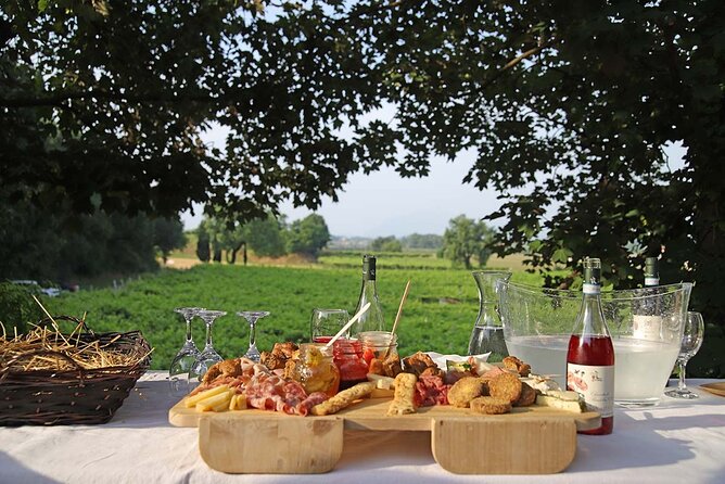 Biodynamic Farm and Natural Wines Tasting in Lazise - Who Will Enjoy This Most?