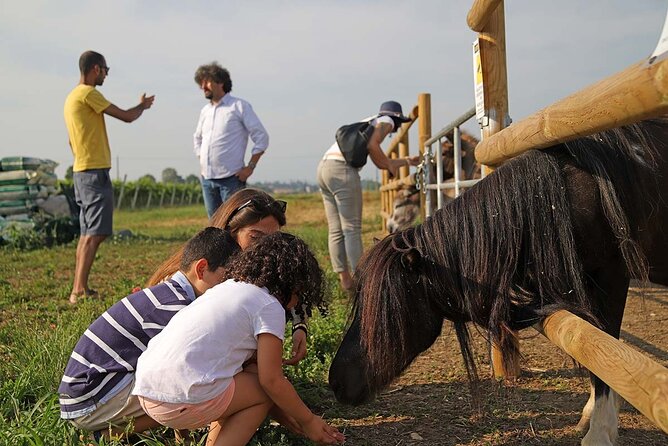 Biodynamic Farm and Natural Wines Tasting in Lazise - Planning the Visit Near Lake Garda