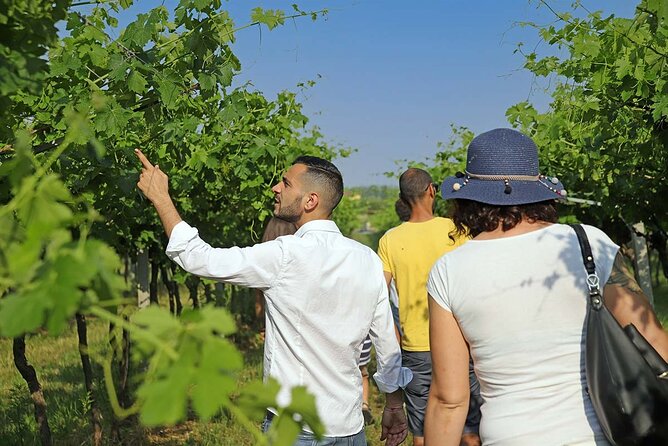 Biodynamic Farm and Natural Wines Tasting in Lazise - Four Wines on the Terrace