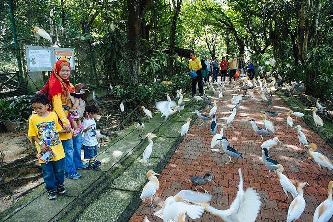 Bird Park & Butterfly Farm Nature Include All Entrance Tour From Kuala Lumpur - Private transport and the value of hotel pickup