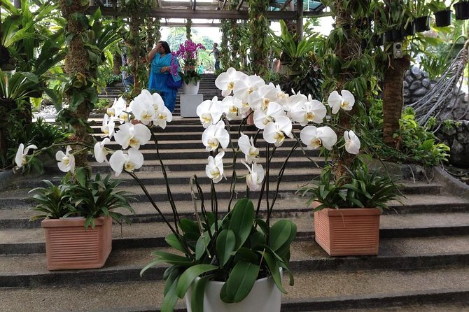 Bird Park & Butterfly Farm Nature Include All Entrance Tour From Kuala Lumpur - Timing: useful sampler or too short?
