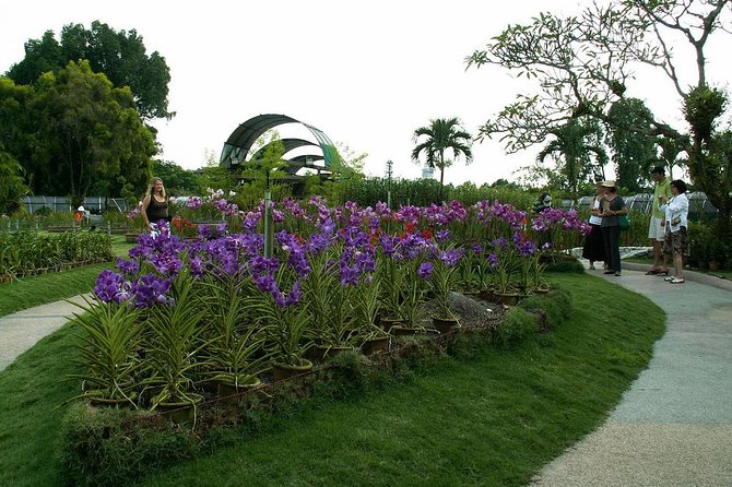 Bird Park & Butterfly Farm Nature Tour From Kuala Lumpur - Why the Bird Park is the main event