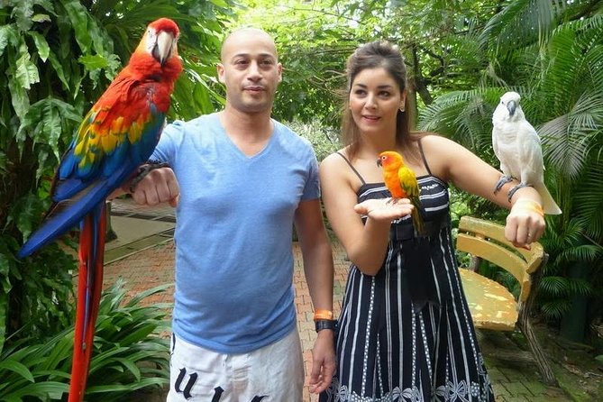 Bird Park & Butterfly Farm Nature Tour From Kuala Lumpur - Practical advice for a smoother visit