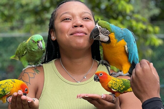 Bird Sanctuary and animal farm Day Tour - The animal farm adds a hands-on change of pace