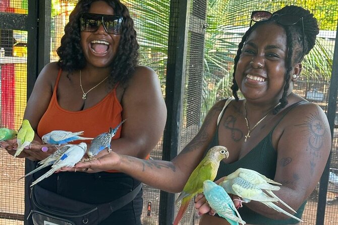 Bird Sanctuary and animal farm Day Tour - Optional time on Montego Bay’s hip strip