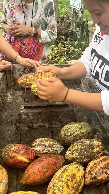 Bohol Chocolate Making and Farm Tour - Should you book the Bohol Chocolate Farm Tour?