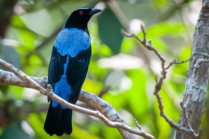Bondla Wildlife Sanctuary with Lunch in Spice Plantation in Goa - Who should book this day