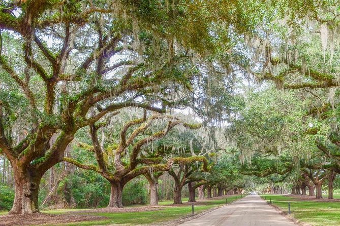 Boone Hall Plantation All-Access Admission Ticket - What to expect inside the plantation house