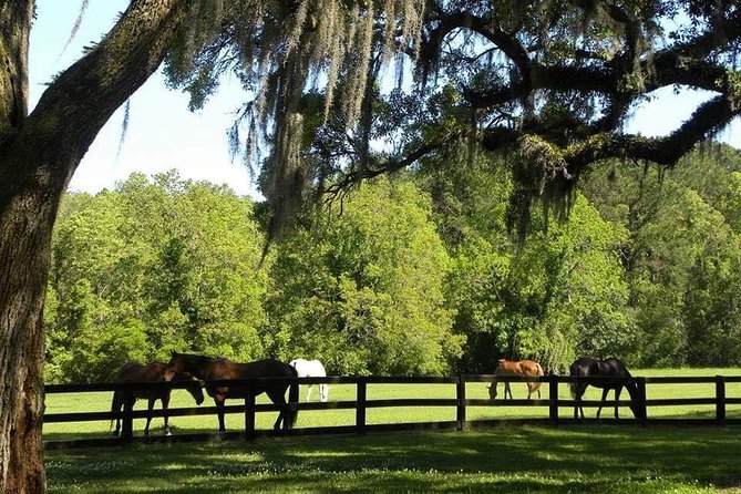 Boone Hall Plantation All-Access Admission Ticket - How long you need and how to plan the day