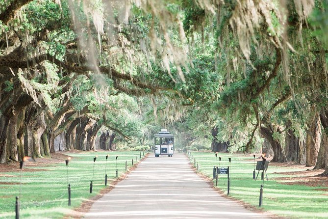 Boone Hall Plantation All-Access Admission Ticket - The Gullah presentation deserves your schedule