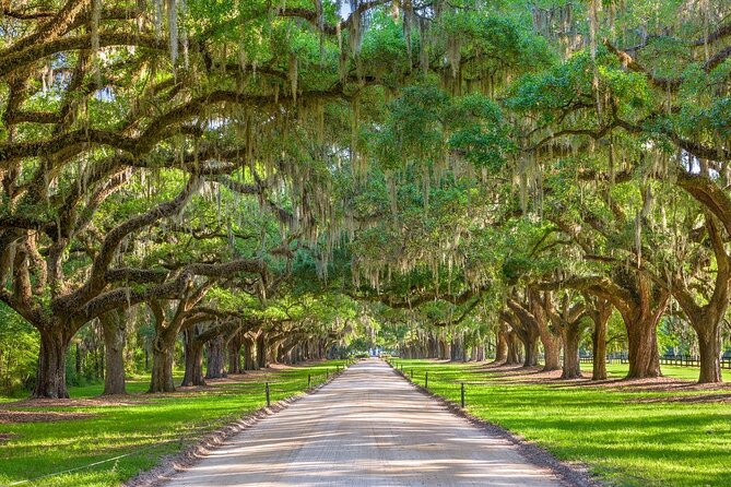 Boone Hall Plantation Day Tour with Transportation - The Farm and Nature Tractor Tour
