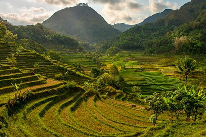 Borobudur Climb Up and Selogriyo Temple Rice Terraces Trekking - The quiet change of pace at Selogriyo Temple
