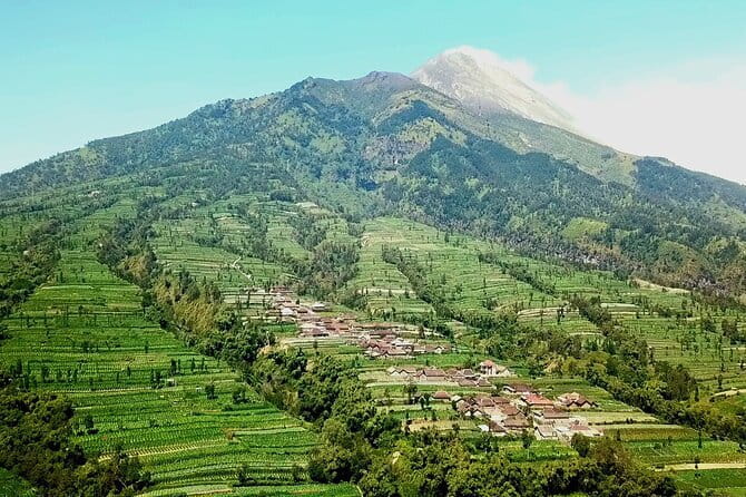 Borobudur Climb Up and Selogriyo Temple Rice Terraces Trekking - Who should book this day