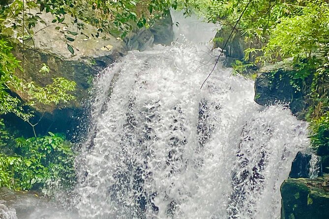 Botanic Garden - Paradise Cave - Zipline - Mudbath at Dark Cave - A full day built around Phong Nha’s caves