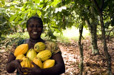 Boti Falls, Umbrella Rock, Aburi Gardens & Cocoa Farm Day Tour