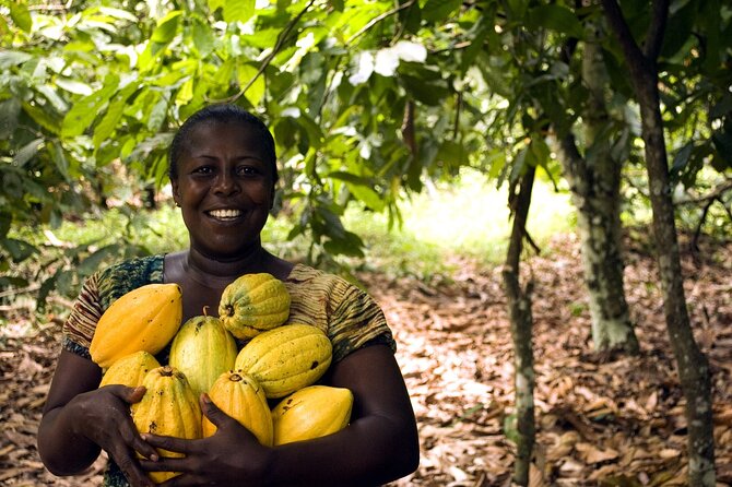 Boti Falls, Umbrella Rock, Aburi Gardens & Cocoa Farm Day Tour - Climbing Umbrella Rock