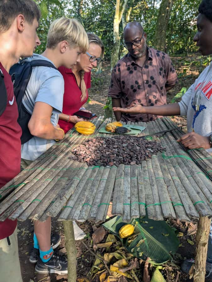 Boti Falls, Umbrella Rock, Aburi Gardens & Cocoa Farm Tour - Guides and transport can shape the whole day