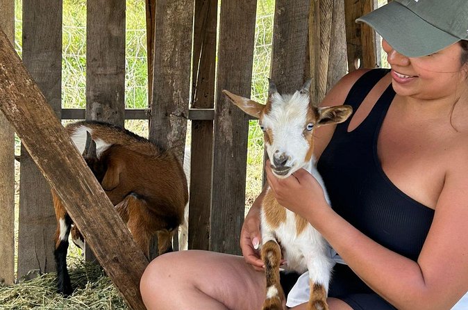 Bottle Feed & Cuddle Baby Goats at Ohana Ranch (Big Island) - The quiet side of the Big Island experience