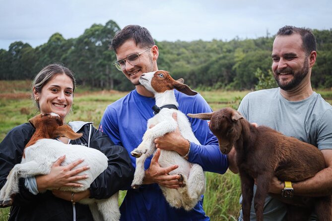 Bottle Feed & Cuddle Baby Goats at Ohana Ranch (Big Island) - Planning your visit to Mountain View