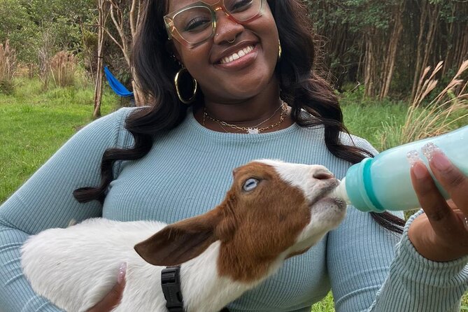 Bottle Feed & Cuddle Baby Goats at Ohana Ranch (Big Island) - Why the farm story matters