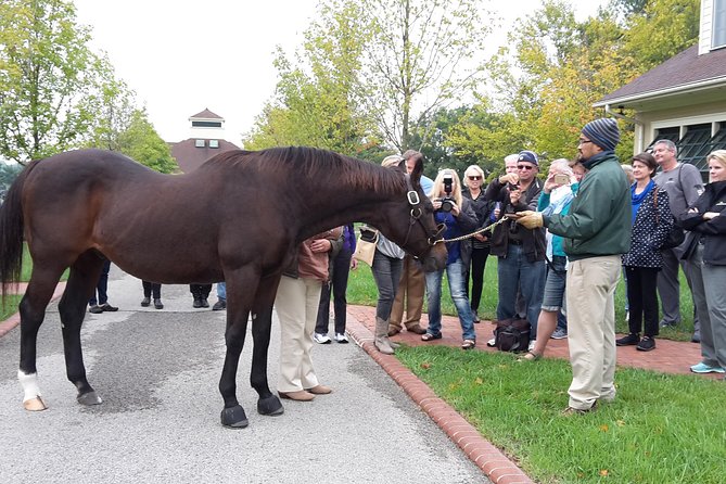 Bourbon Distillery & Horse Farm Tours - What you actually receive for $179