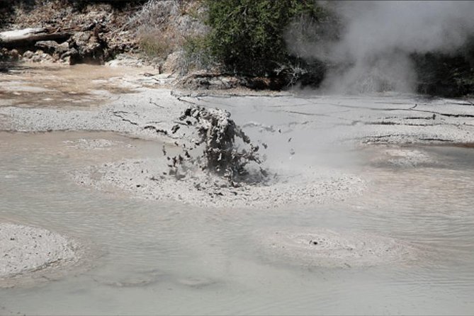 Boutique tour , Mt Maunganui, NZ farm, Rotorua lakes/geothermal - Mt Maunganui and the Bay of Plenty coast