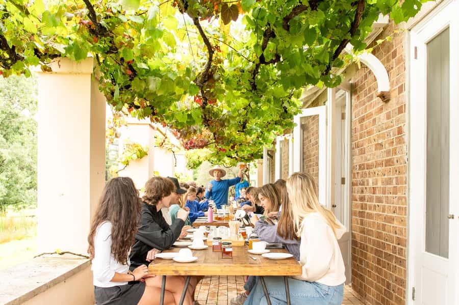 Bowral Honey Farm Tour, Honey Tasting & morning Tea - Twenty minutes beside active hives