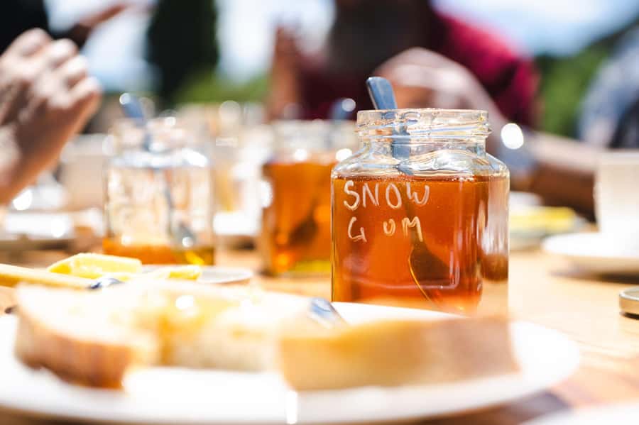 Bowral Honey Farm Tour, Honey Tasting & morning Tea - Fifteen minutes with the Flow Hive