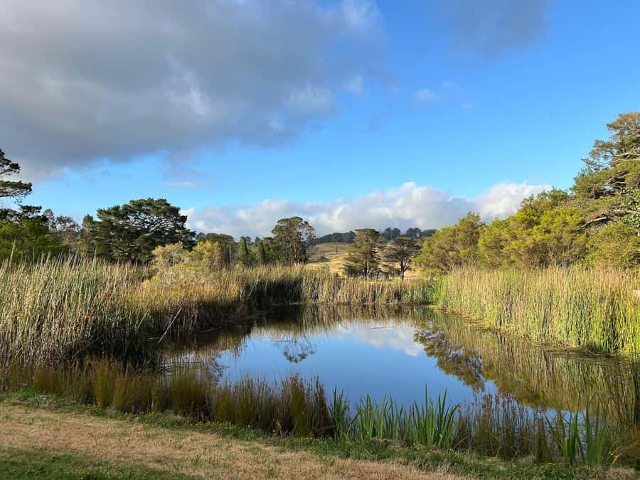 Bowral Honey Farm Tour, Honey Tasting & morning Tea - A five-minute safety briefing before the bees