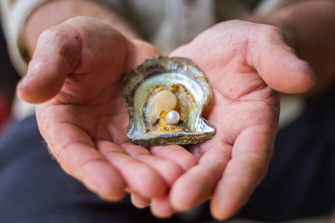 Broken Bay Pearl & Oyster Farm Tours - Is the $29 price good value?