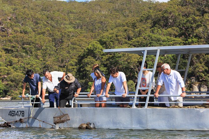 Broken Bay Pearl & Oyster Farm Tours - What happens at the Shellar Door