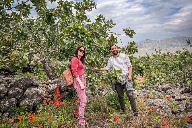 Bronte Pistachio Farm Tour and Lunch with Farmer - Key points to know before booking