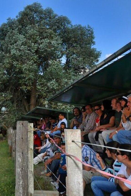 Buenos Aires: Don Silvano Ranch Gaucho Day Trip - Who Will Enjoy This Day Most