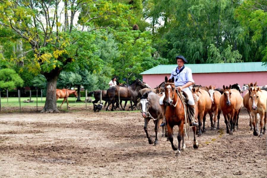 Buenos Aires: Santa Susana Ranch Day Tour, BBQ & Shows - Museum, chapel, and old carriage rides